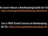 Backyard Beekeeping - 2 Tips For Backyard Beekeeping