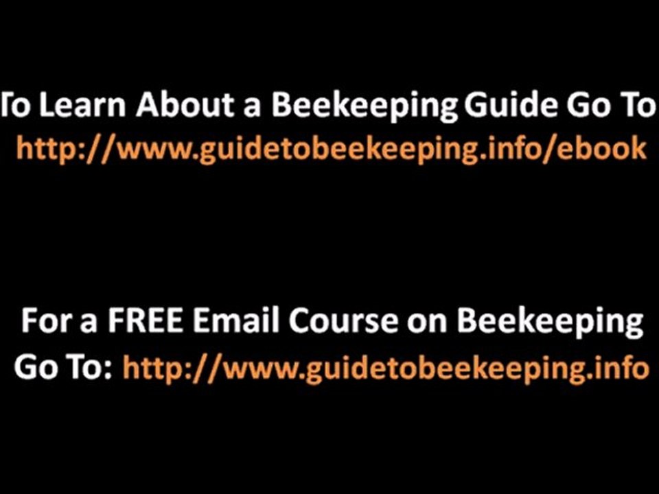 Backyard Beekeeping - 2 Tips For Backyard Beekeeping