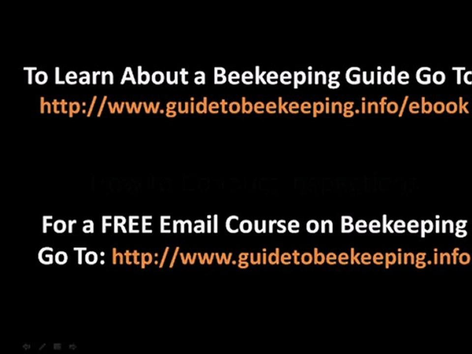 Guide to Beekeeping - A Guide to Beekeeping?