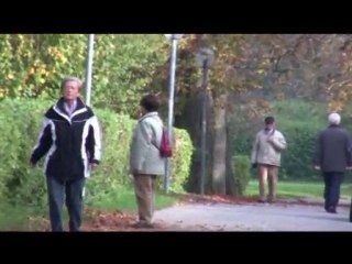 Der Stadtsee der Stadt "Bad Waldsee"