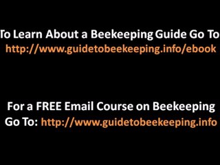 Bee Supplies - 3 Tools Related to Bee Supplies