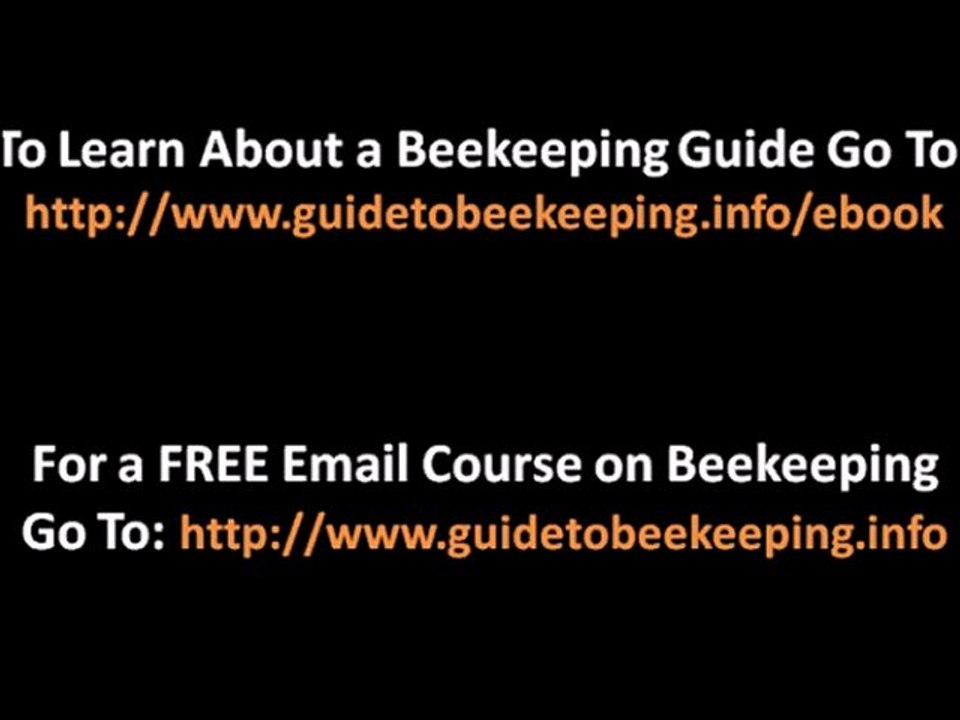 Bee Supplies - 3 Tools Related to Bee Supplies