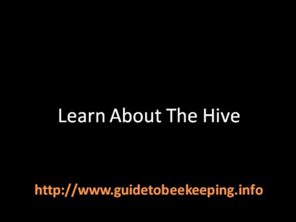 Beekeeping Classes - What About Them?