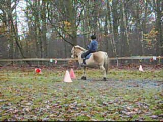 Séance montée novembre 2010