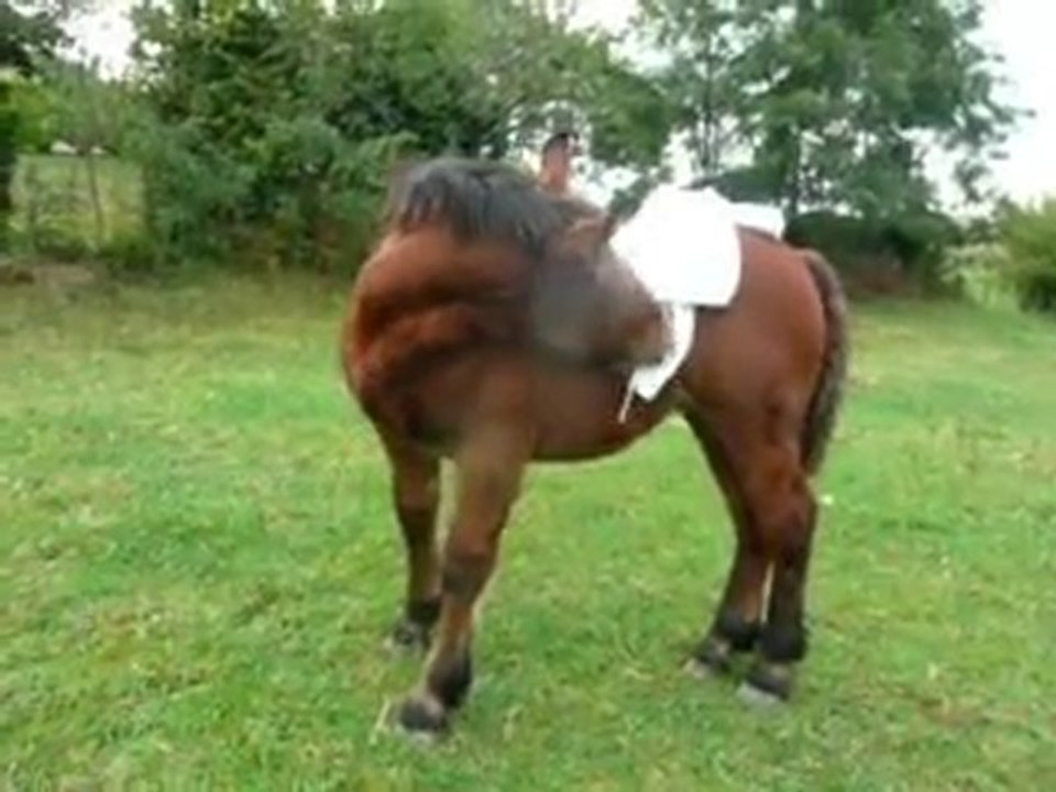 Possible,Rosie,Oihana et Argi