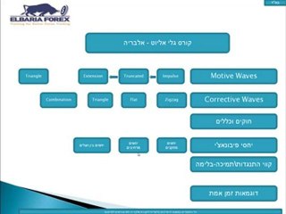 גלי אליוט-הדרכה