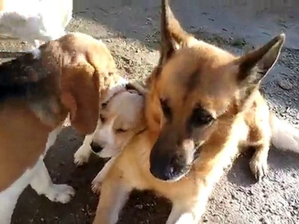Vidéo0029