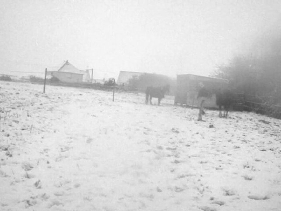 Dans la neige :p (qualité à désiré vu qu'il neigeait :/ )