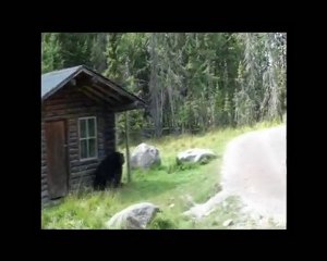 Quebec roadtrip 2010