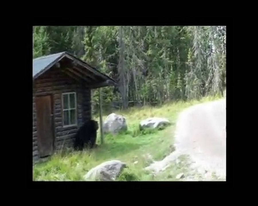 Quebec roadtrip 2010