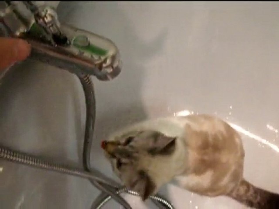 Kaya et l'eau