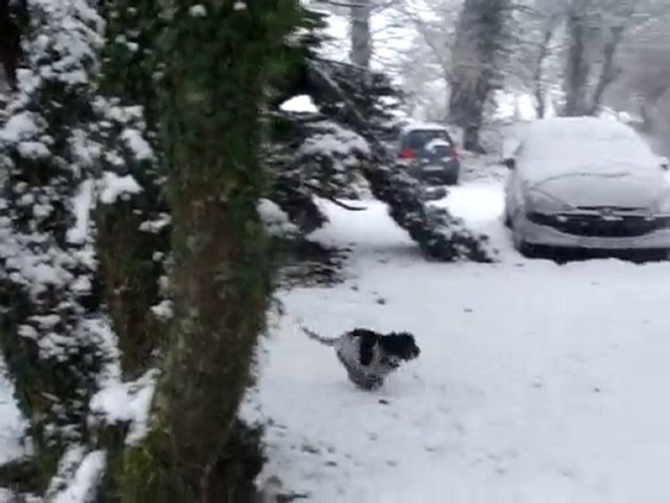 Laïa et Funky sous la neige 2e épisode