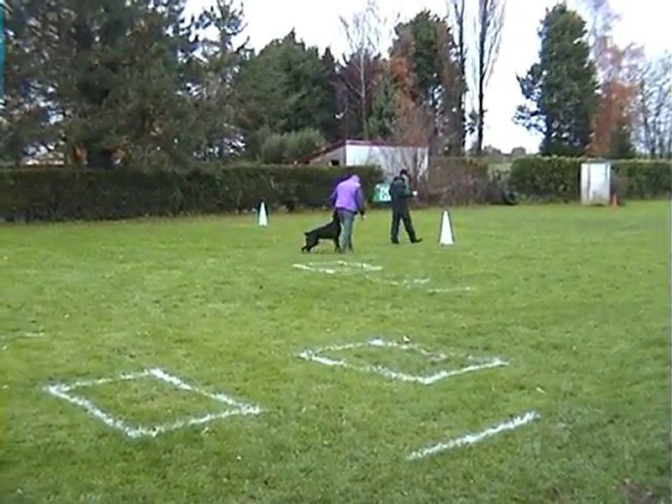 Daytona Ring 1 à St Aubert