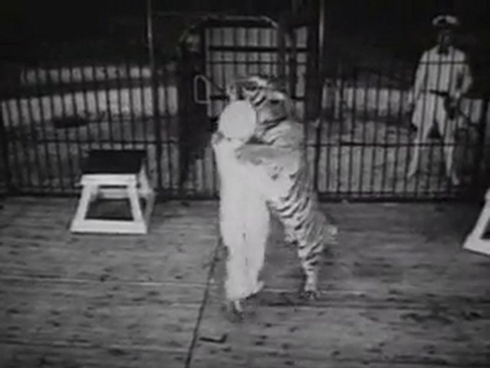 Coney Island Wild Animal Acts From the 1940's