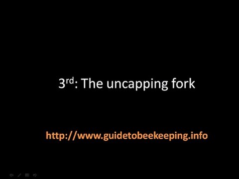 Backyard Beekeeping 3 Things About Backyard Beekeeping