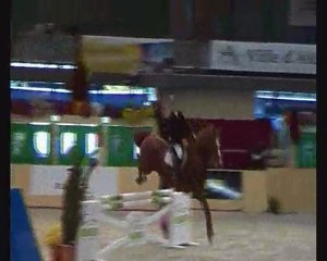 Nikita des Arilles - jument SF - 9 ans - 1m67 - bon papier
