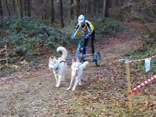 St etienne du rouvray