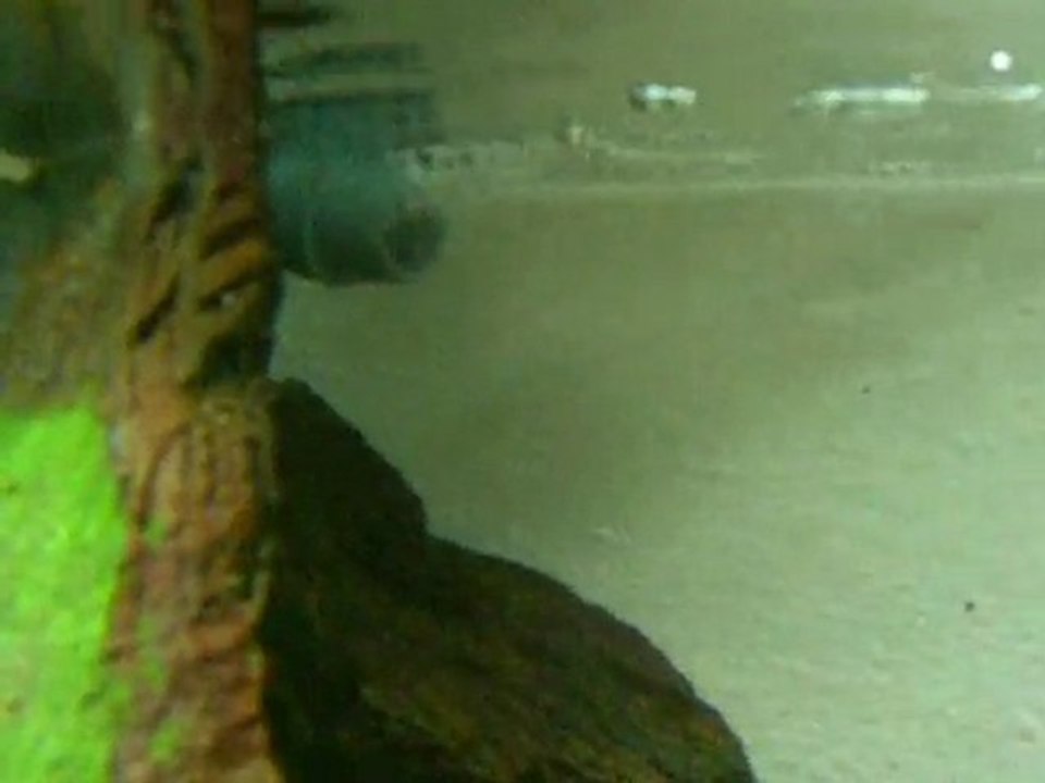 DSCN3576