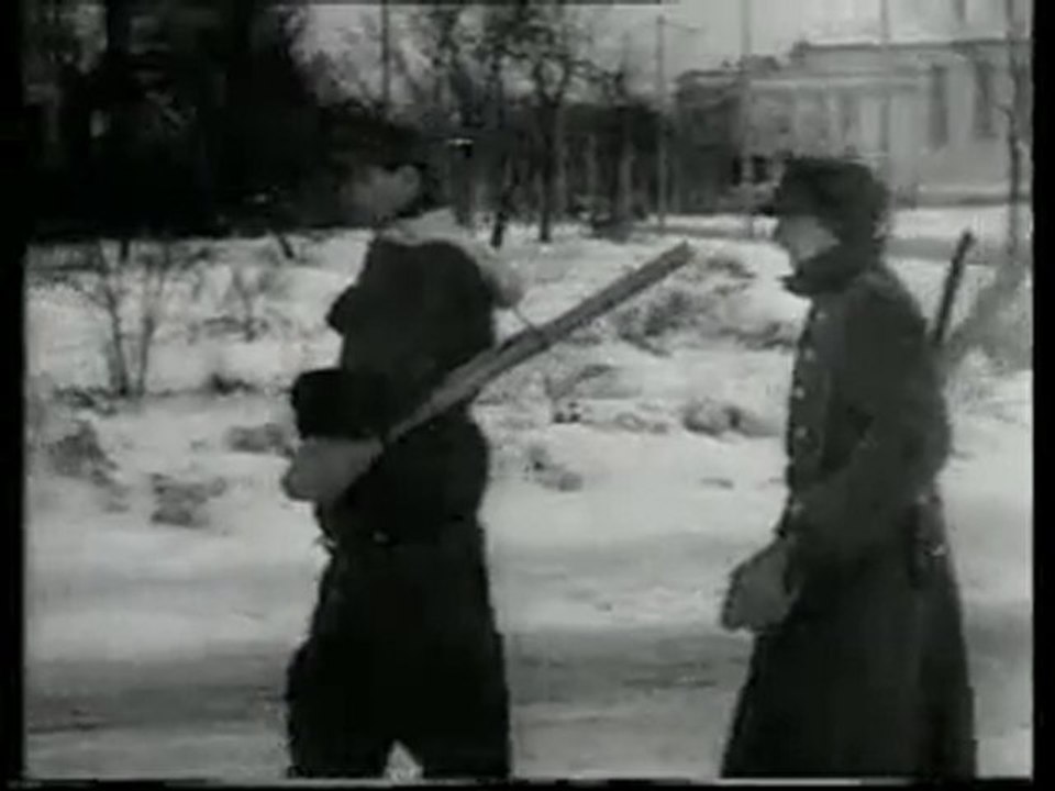L'histoire Secrete Des Waffen SS 5