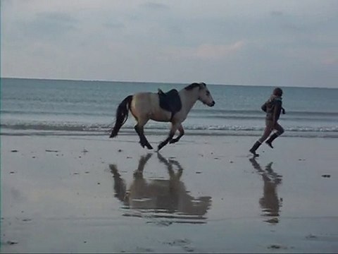 dridri 28 nov. 2010 - plage