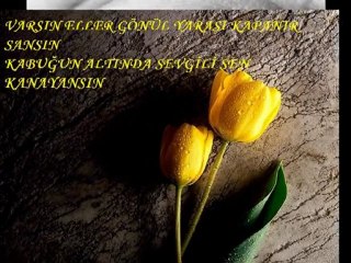 hoş bir fon müziği secret garden adagio