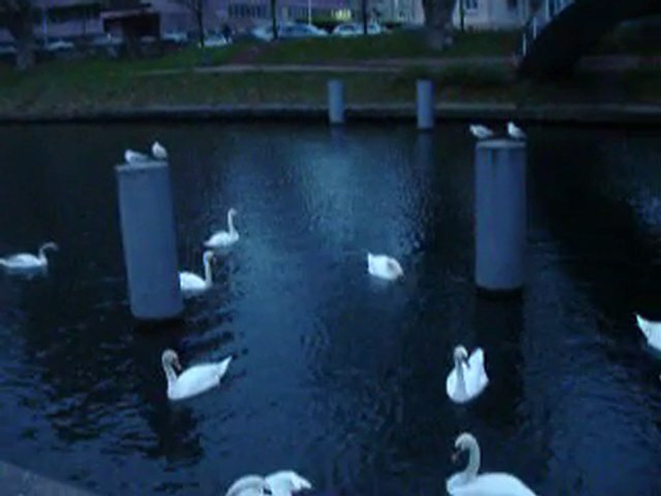 Le lac des signes 2 suite