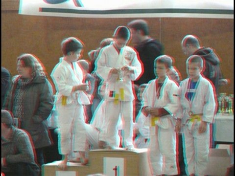 Photos du 28 novembre 2010, à domfront