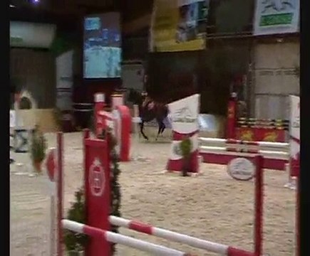 Roxane d'éloax - jument SF - 5 ans - 1m68
