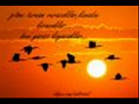 ÇOK ÖZLEDİM VATANIMI KÖYÜMÜ....VİDEO...DURAK YİĞİT