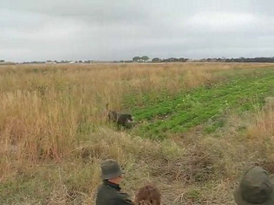 Fils Stan "Crumble"  Fields Camargues octobre 2010