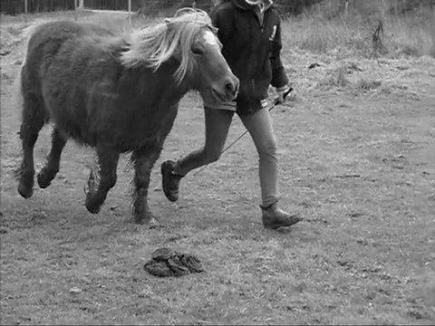 Des Moments Merveillieux Parmis Tant D'Autres