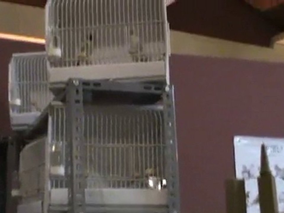 1.feshane ınternatıonal exıbıtıon centre ıstanbul