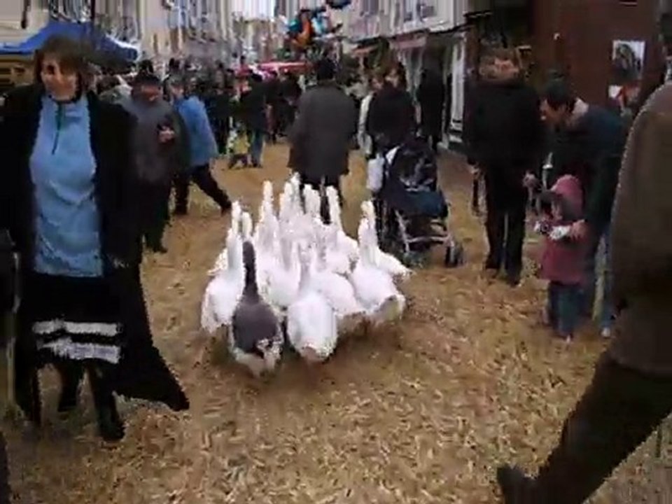 SERREZ EN MEUTE...