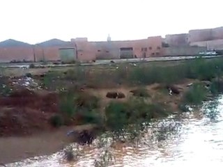 فيضان واد سوس