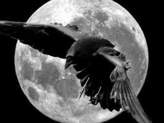 Nass Alghiwane-Rod Balek