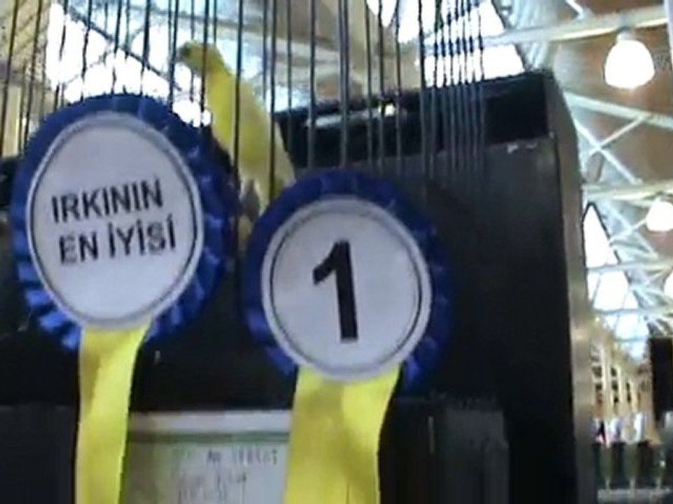 1.feshane ınternatıonal exıbıtıon centre ıstanbul 1