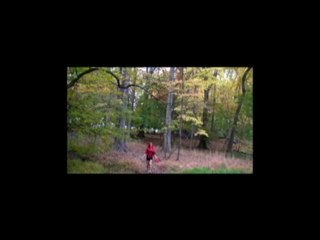 Little Red Riding Hood