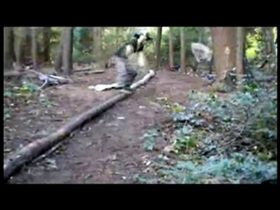 Braymhan Slide 2   //   ( Boro )