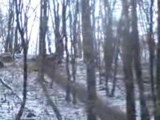 2ème essai réussi également 31-36