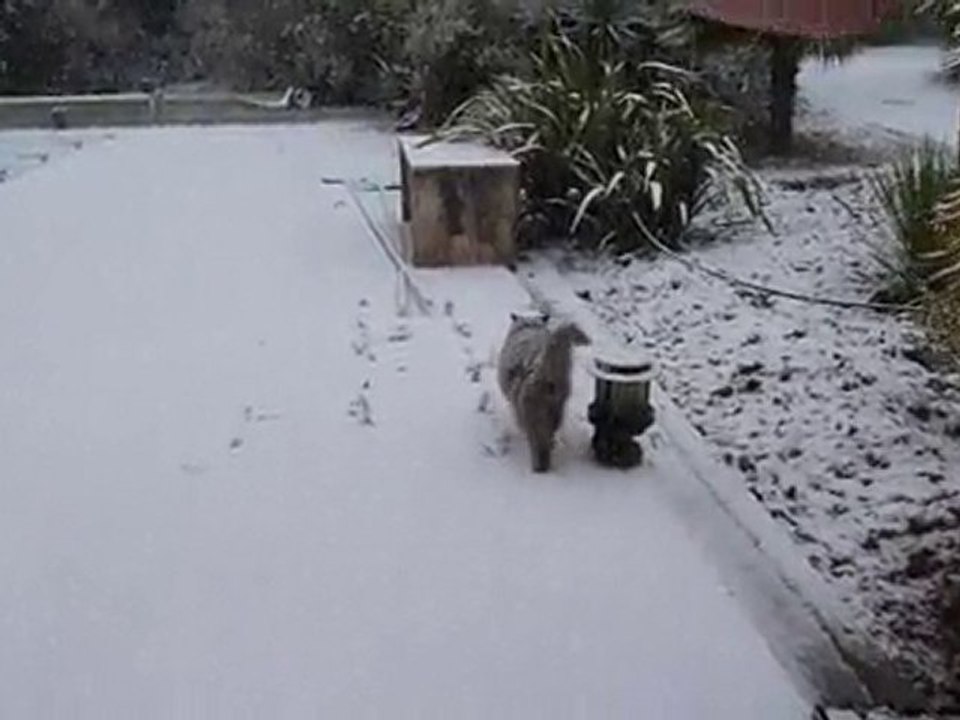 2010 11 27 chatou sous la neige