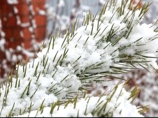 Winter photo First snow pictures, watch movies online free