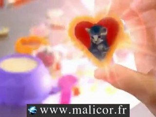 pate flash/Nouvelles matières/www.malicor.fr