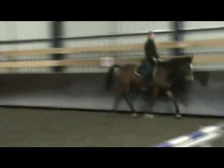 Clothilde et Colombo, nov. 2010