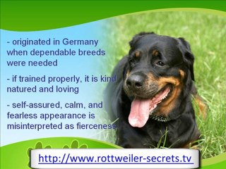 The Strong and Hardy Rottweiler