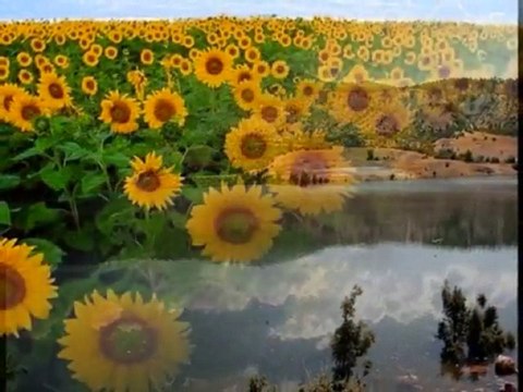 Edip Akbayram - Kızımın Adı Sevgi Oğlumun Adı Barış