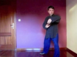 Tai chi - Dos movimientos-Tai chi kung-
