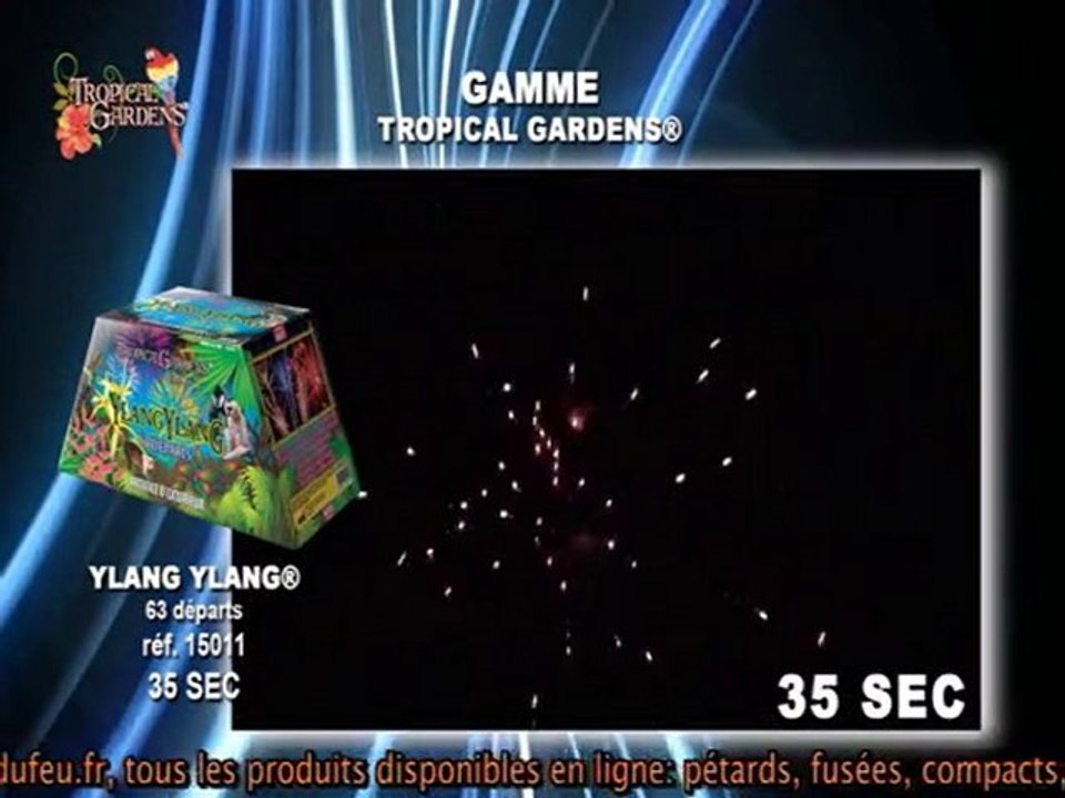 Feu d'artifice: compact Ylang-Ylang de Ardi