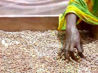 SENEGALÉS, ¡BIENVENIDO A CATALUÑA!