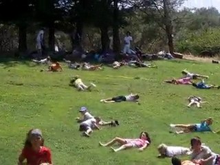 mini planete donne a manger aux poules