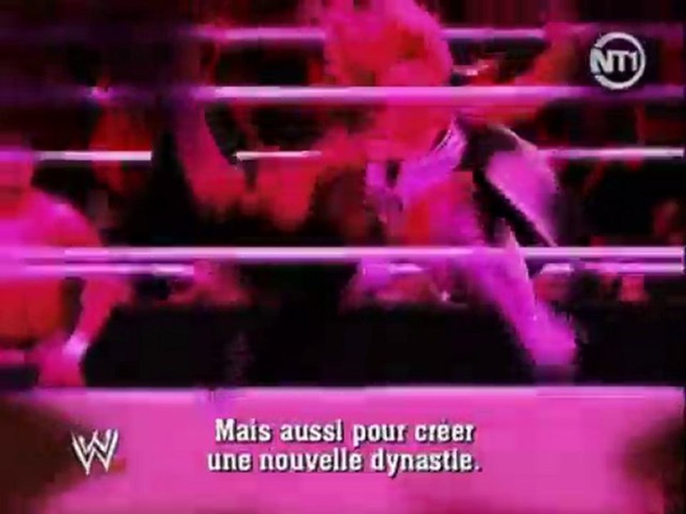 Promotion Hart Dynasty